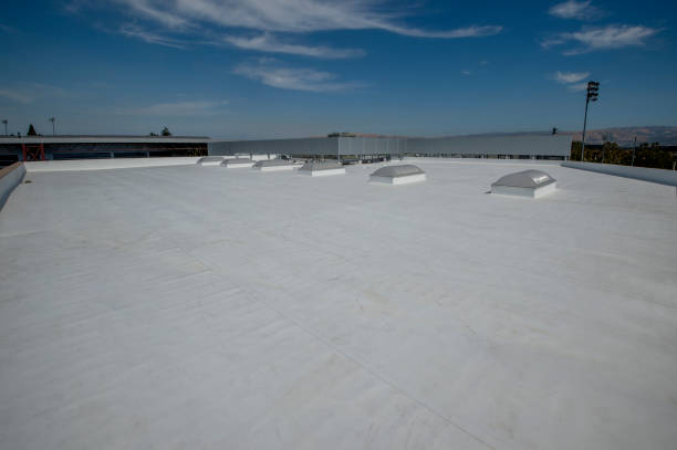 Best Emergency Roof Repair Services  in Newpt, OR