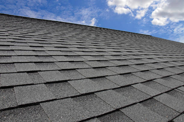 Professional Roofing Service in Newport, OR